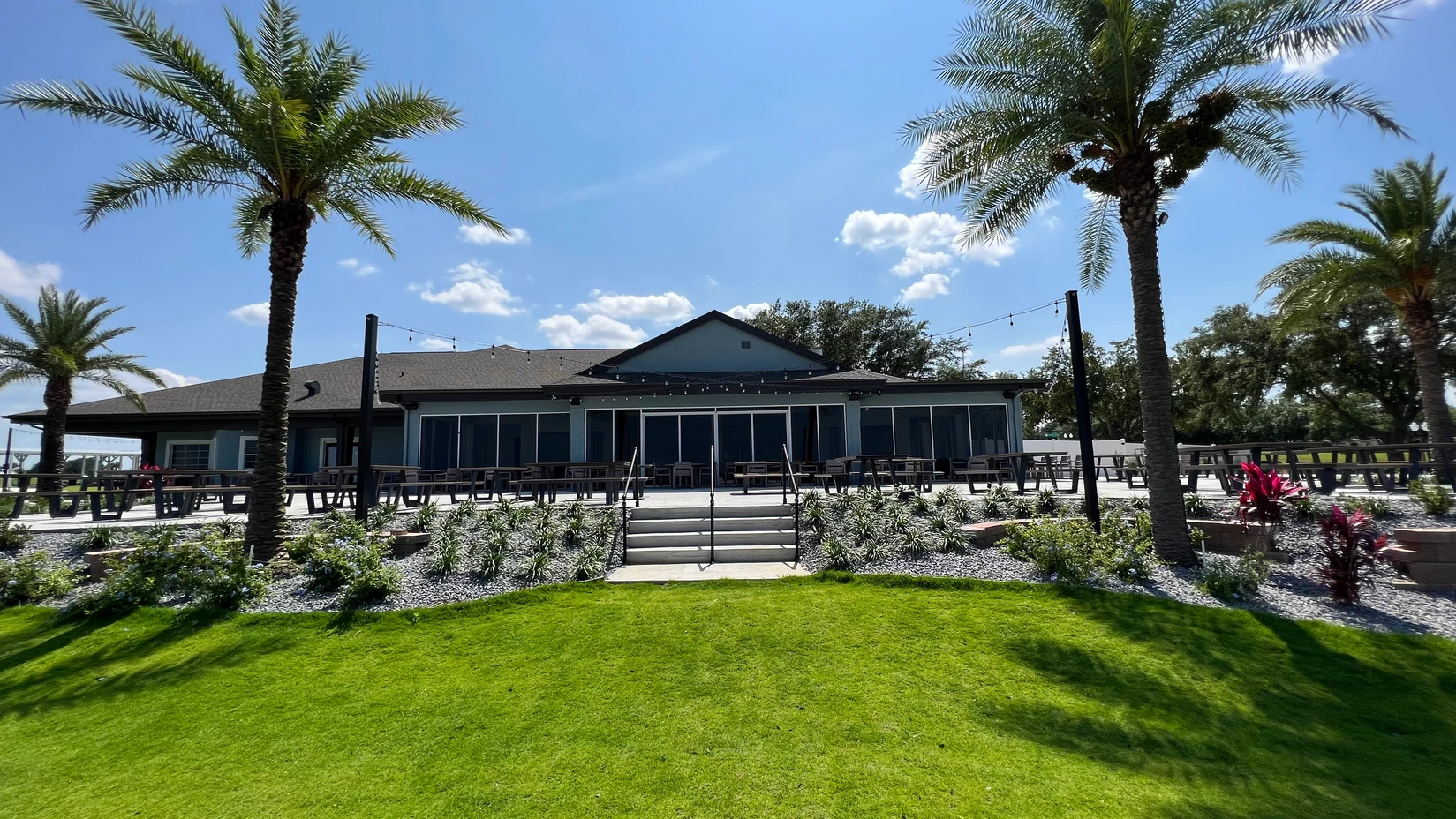 Palm trees and steps leading to clubhouse